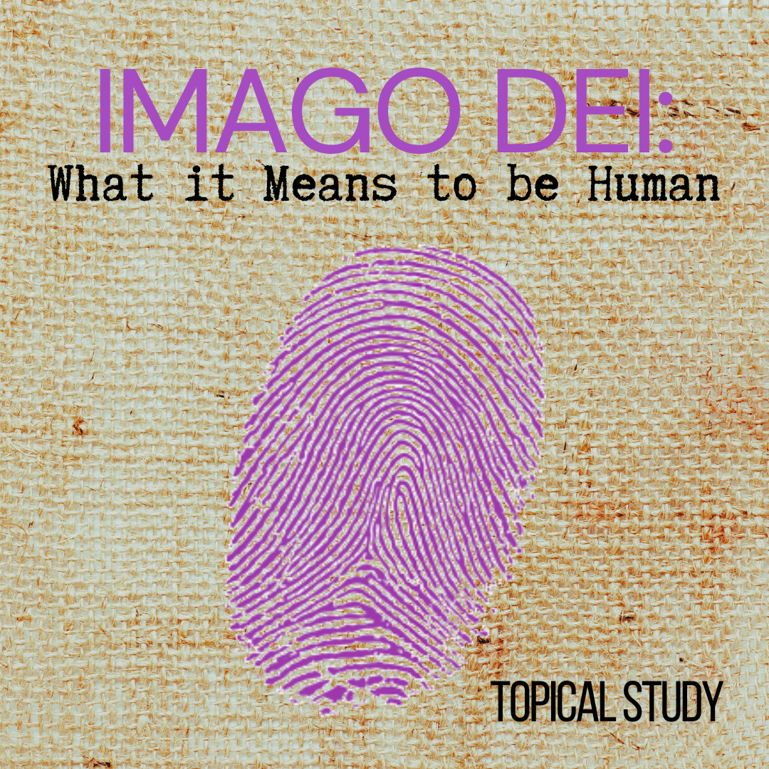 Imago Dei: What it Means to be Human